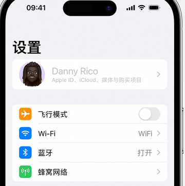 王场镇appleID维修服务iPhone设置中Apple ID显示为灰色无法使用 