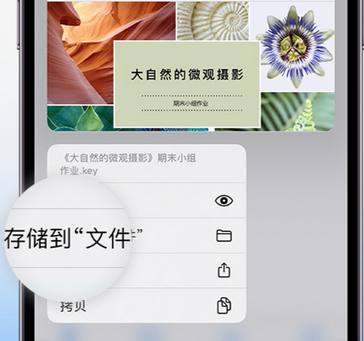 王场镇apple维修中心分享iPhone文件应用中存储和找到下载文件