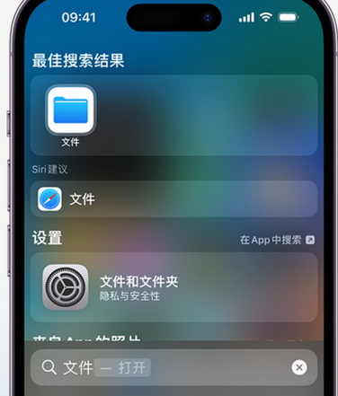 王场镇apple维修中心分享iPhone文件应用中存储和找到下载文件