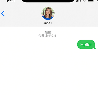 王场镇apple维修iPhone上无法正常发送iMessage信息