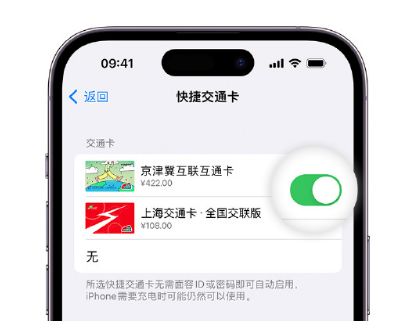 王场镇apple维修点分享iPhone上更换Apple Pay快捷交通卡手绘卡面 