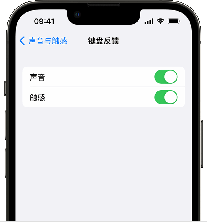 王场镇苹果14维修店分享如何在 iPhone 14 机型中使用触感键盘 