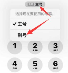 王场镇苹果14维修店分享iPhone 14 Pro Max使用副卡打电话的方法 