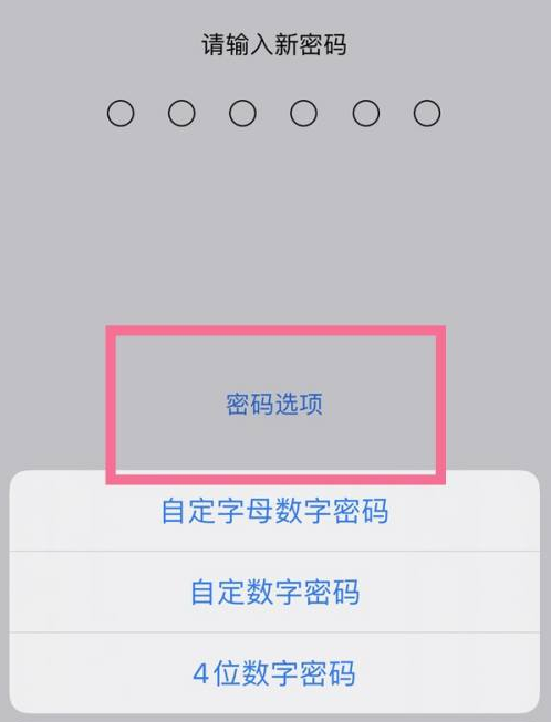 王场镇苹果14维修分享iPhone 14plus设置密码的方法 