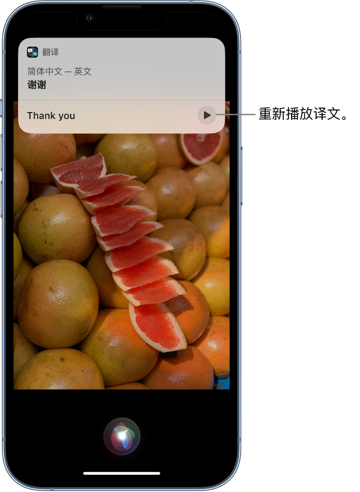 王场镇苹果14维修分享 iPhone 14 机型中使用 Siri：了解 Siri 能帮你做什么 