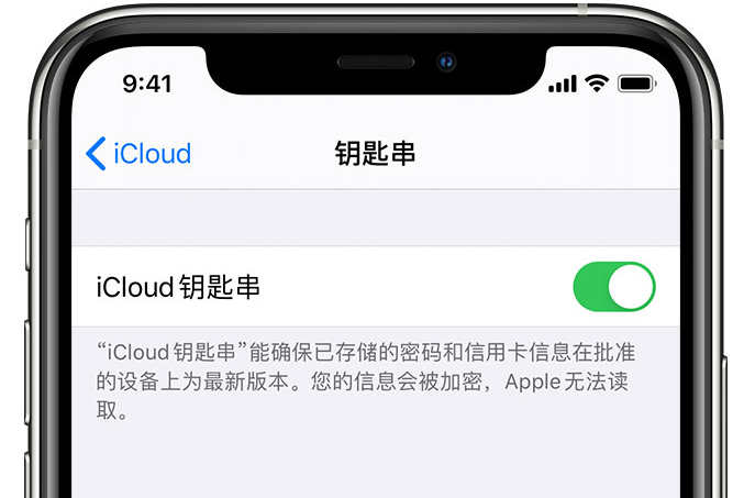 王场镇苹果手机维修分享在 iPhone 上开启 iCloud 钥匙串之后会储存哪些信息 