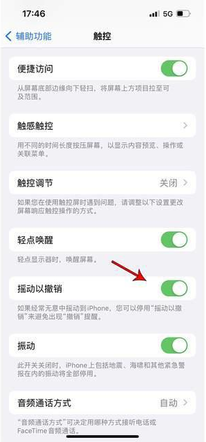 王场镇苹果手机维修分享iPhone手机如何设置摇一摇删除文字 