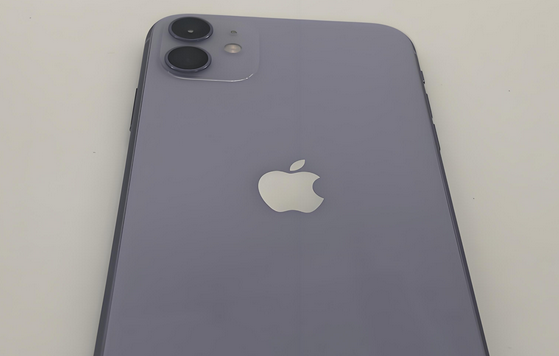 王场镇苹果11系统维修分享iPhone11手机系统崩溃无法开机如何解决 
